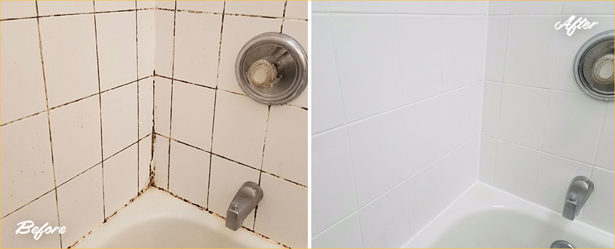 Grout Recoloring and Sealing