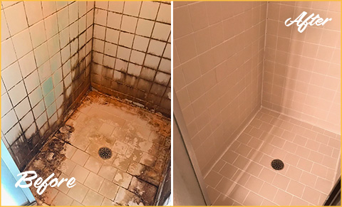 Here's How a Grout Cleaning Service in Alburtis PA Left This Shower Looking  Spotless