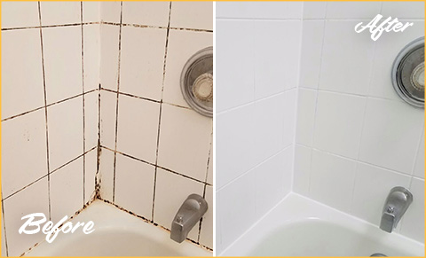 https://www.sirgroutaustin.com/images/p/g/1/tile-grout-cleaners-moldy-bathtub-480.jpg